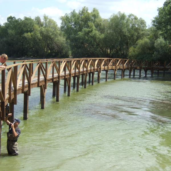 Plaža na Topoljskom Dunavcu u Dražu 